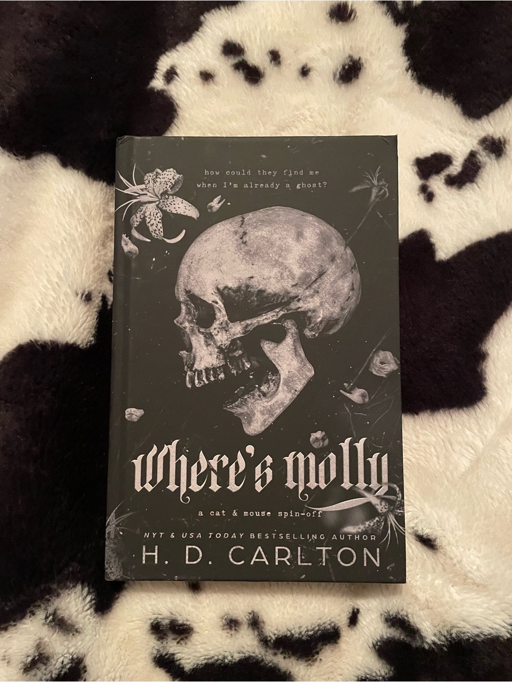 Where's Molly by H. D. Carlton Hardback Book NWT